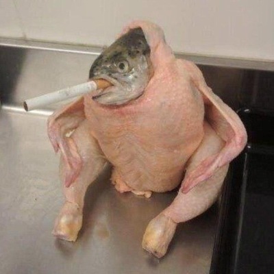 Твоё яйцо