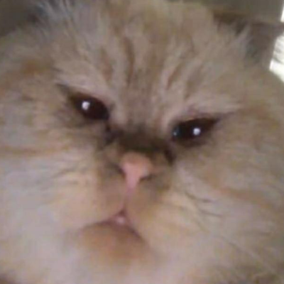 Котя~