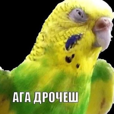 ГорячийПЕЛЬМЕНЬ