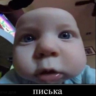 Жопа Шнюка