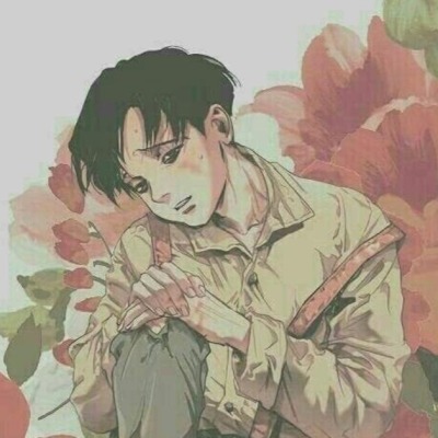 Levi_536