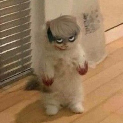 Каштанчик1004