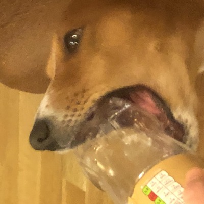jjktkl