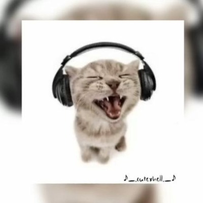 Ванюша-коллекционер