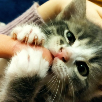 kisssiwwwx