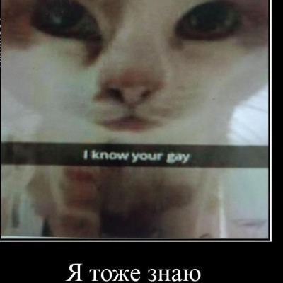 Трахтенберг