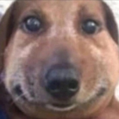 чозахуйнянянярчн