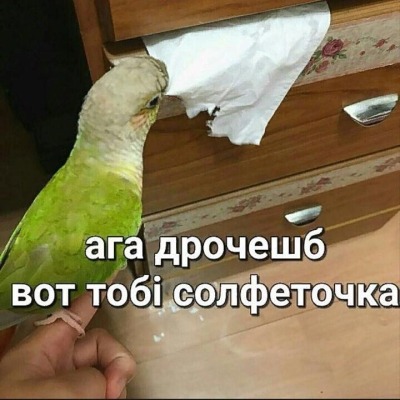 В_аХуЕ_оТ_жИзНи