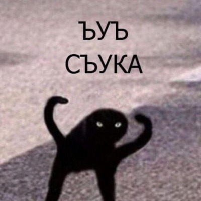 Еп твою мать