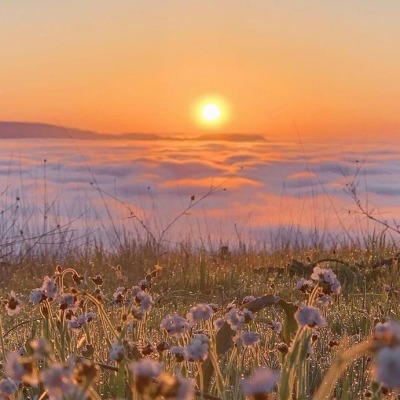 Наталья Королева