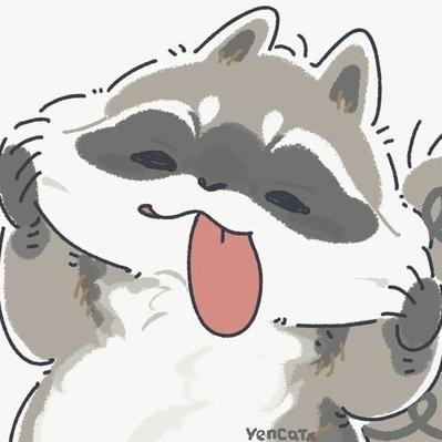 raccooninside