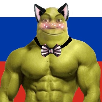 SHREK_KRASH