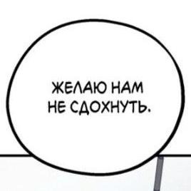 курлык ёптыть