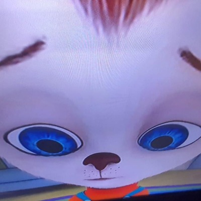 шин бля дун