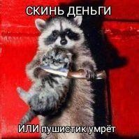 енот убица