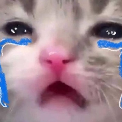 мямя