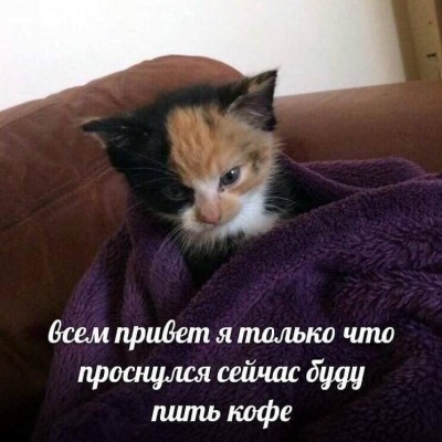 сырный хлеб