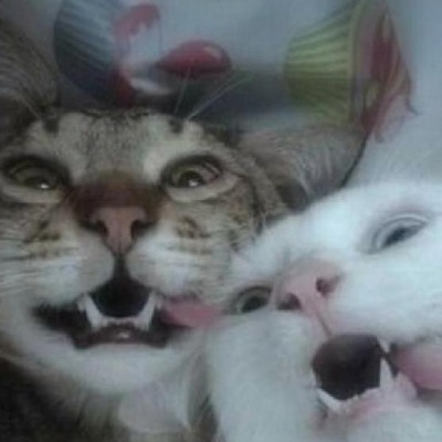 Smmlkill