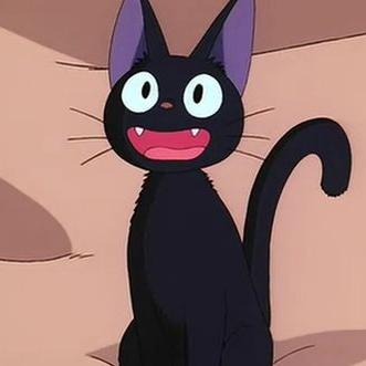 Cat in moon