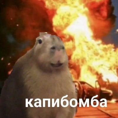 Капибомба