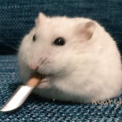 Мама я люблю яой_юри