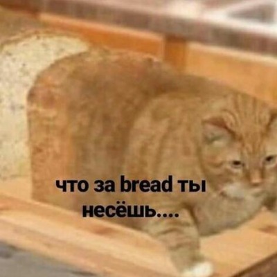 Хлеб с сыром
