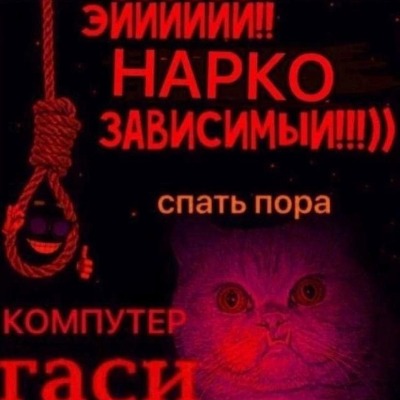 Диона топ228