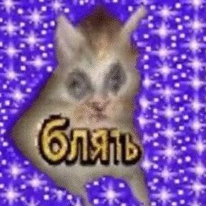 Ника пр