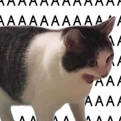 ДИНО_Т_ИК