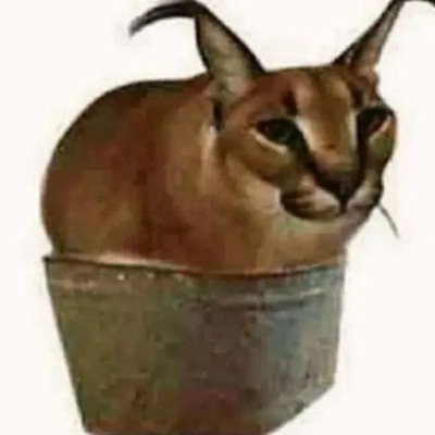 Suuuuuuuuuuuuuup
