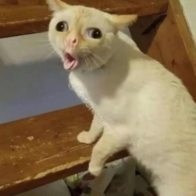 Мне никто не нужен