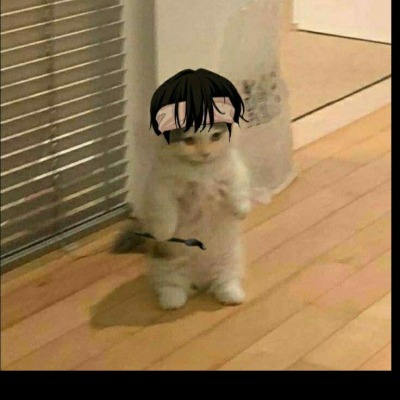 txgtyc34