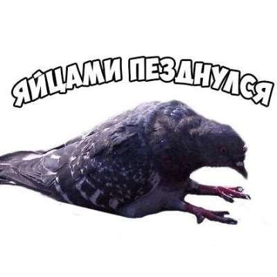 Голубь Петрович