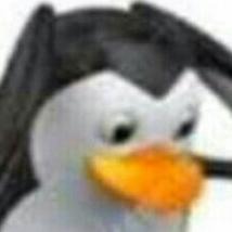 anchovys