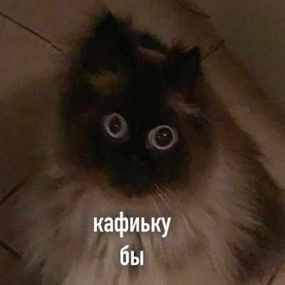 SpaceCat_owo