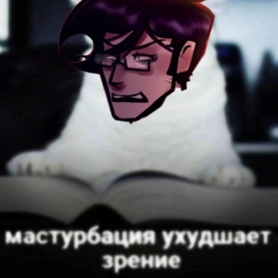твоя дрочила