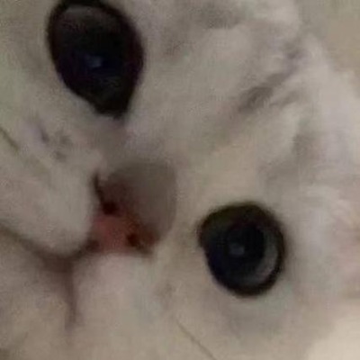 Кёта