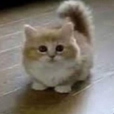 ктя