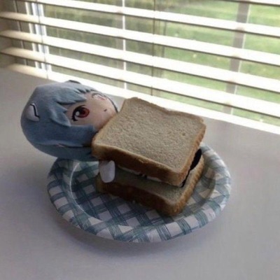 Лол это я Аянами Рей
