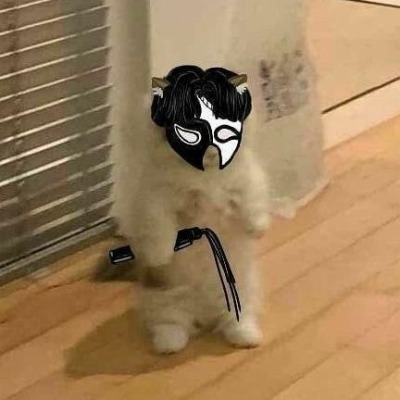 Жопа MD