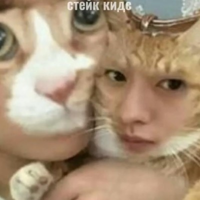 СнежЫк