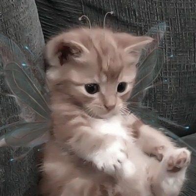 qwiirtty