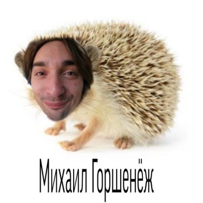 Бархатная тяга73746