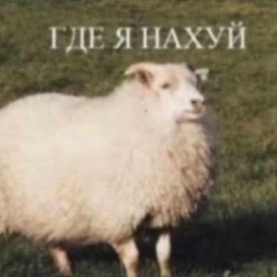 Потерялся в яой