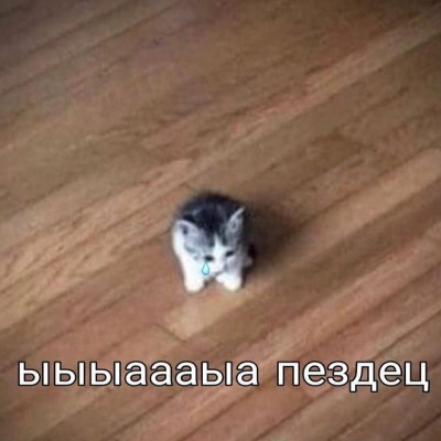 Конус в обезьяне