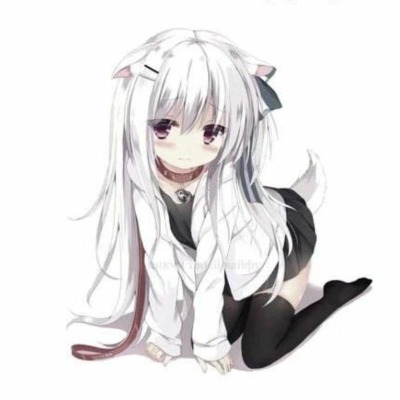 Kittykmrmrmr