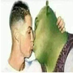 Возбужденый тапок