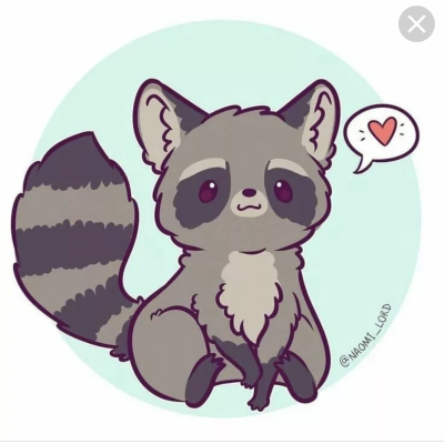 Racoon_insane