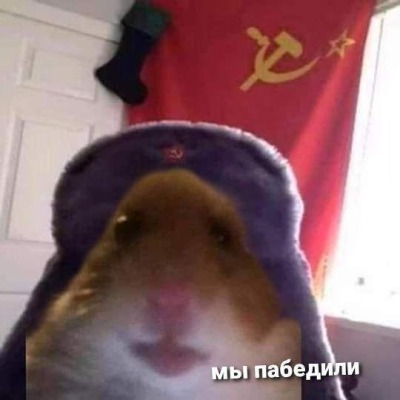 Злой хома