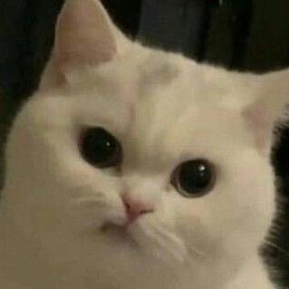 hehehehehepoi